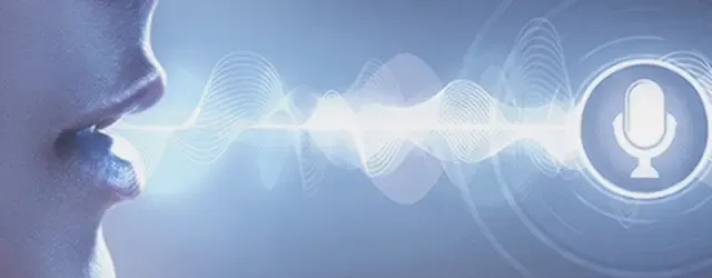 Voice Customization